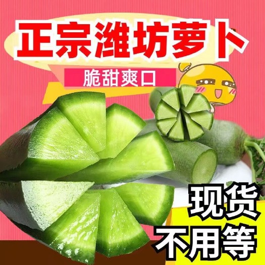 青萝卜  萝卜  水果萝卜  脆皮不辣  3-9斤