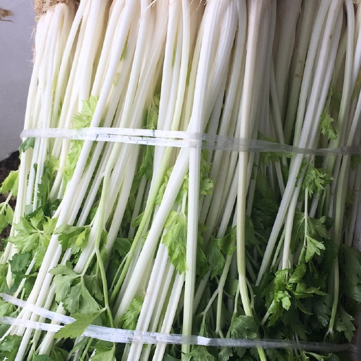 重庆市 优质水培白芹
