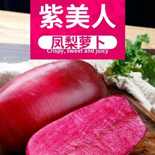 红皮萝卜 萝卜 紫萝卜   3-9斤 一件代发