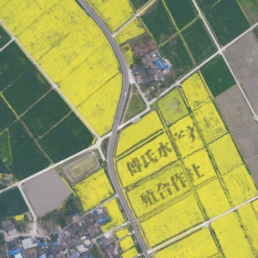 霍邱县中国龙虾