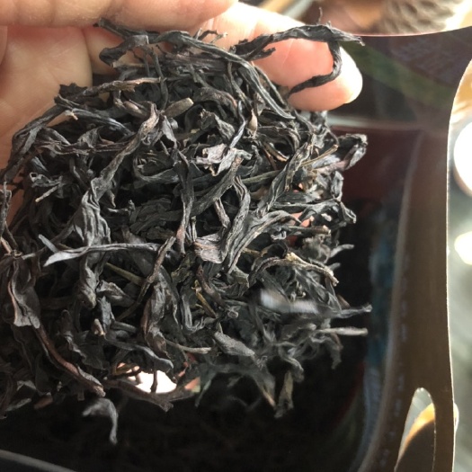 汕头单丛茶  潮州市凤凰镇 高山单丛 蜜兰香 中熟型 一斤装 袋子随机发