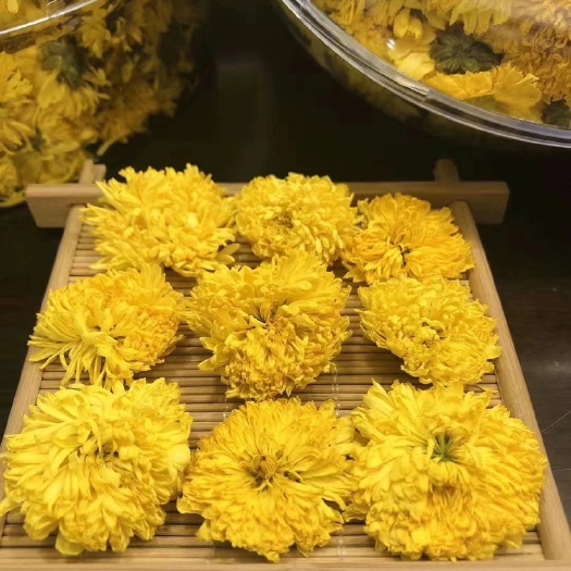 菊花茶  婺源皇菊天然花茶自然芳香，花蕾超大，色泽鲜黄