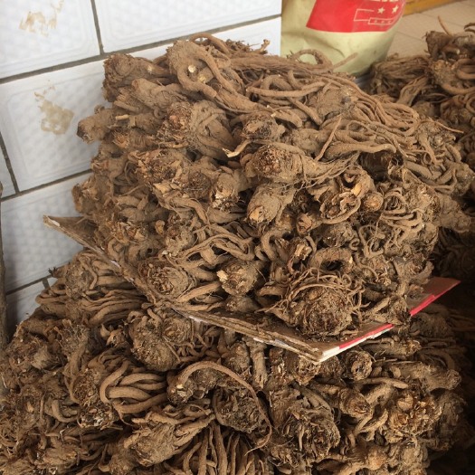 临洮县岷当归 大 中 小
