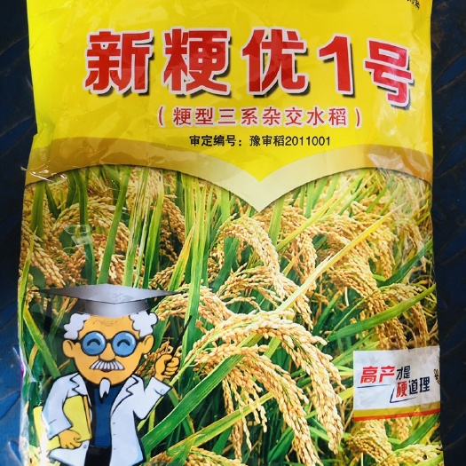 东海县 新粳优1号750克杂交粳稻 高产抗倒伏抗病稳产亩产2000斤