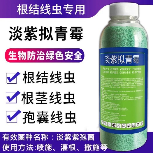郑州淡紫拟青霉，根结线虫专用