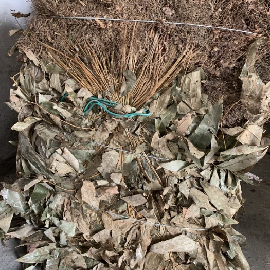 箭叶淫羊藿  大山淫羊藿 连根带叶 第一批中间商