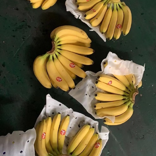 昆山市香蕉  优惠精品，市场批发，超市活动，游击赶集