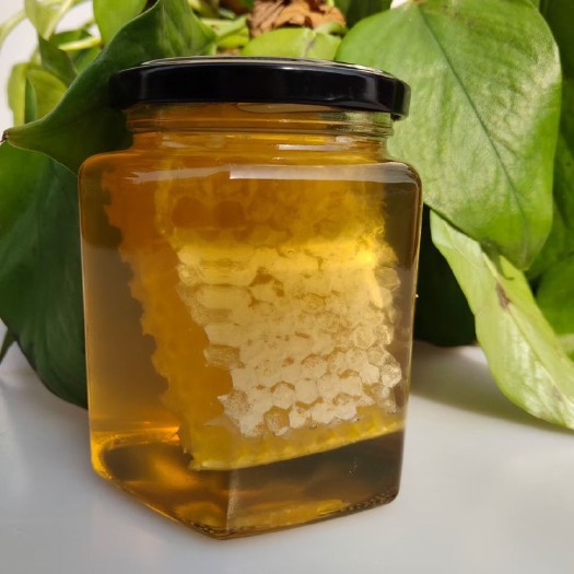 长葛市蜂巢蜜  连巢带蜜一窝端