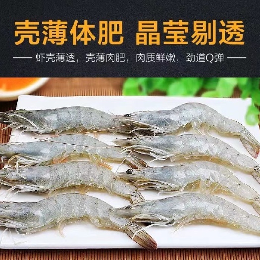 南美白对虾 规格型号30/40,40/50,50/60,60/70都有