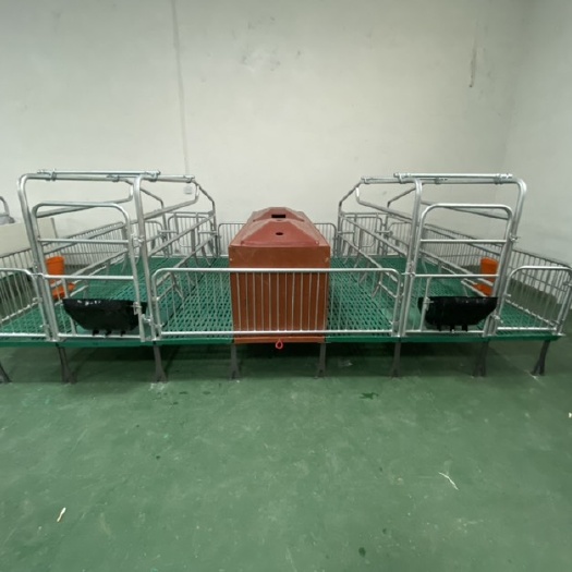 卫辉市 双体母猪产床可以同时容纳两头母猪同时生产提高小猪存活节省人工
