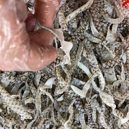 广州爽脆凉拌鱼皮~原材料批发，大批现货