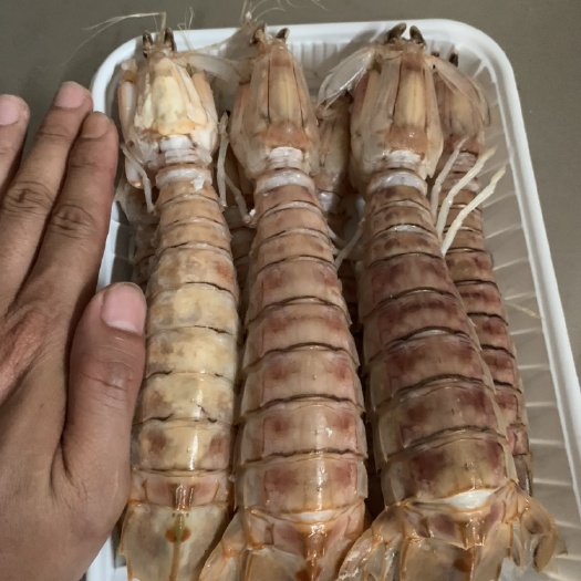 北海 皮皮虾产地直供，我们的虾来自北海，都是肉虾膏虾混装，肉质肥美