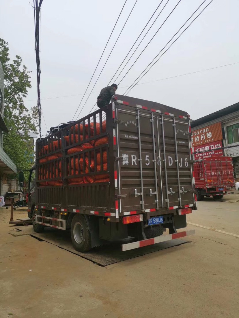 豌豆荚  湖北豌豆   青豌豆   大量供应一手货源