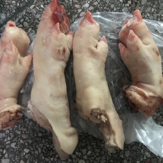猪蹄  母猪手脚带筋，前蹄，后蹄