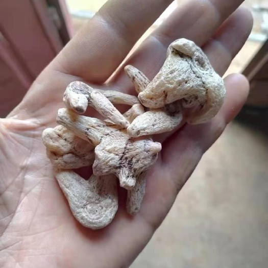 文山市白及 精选小个，颜色漂亮个头均匀