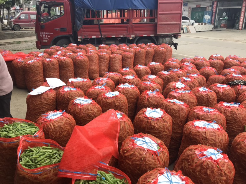 豌豆荚  湖北豌豆   青豌豆   大量供应一手货源