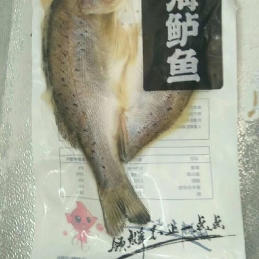 西安海鲈鱼  开背鲈鱼，18条，20条.22条都