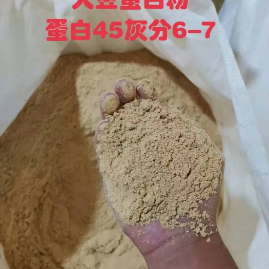 正定县大豆磷脂粉 大豆胚芽粉，蛋白45