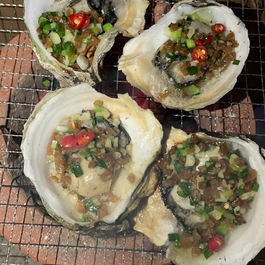 饶平县电白牡蛎  汫洲大蚝花,脆蚝，湛江蚝，白蚝，台山蚝,优质水域，又脆又甜