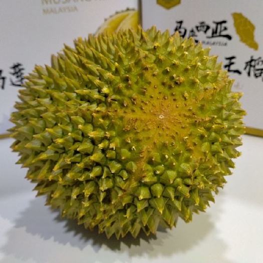 广州【一件代发】马来西亚猫山王榴莲AA果代发顺丰包邮