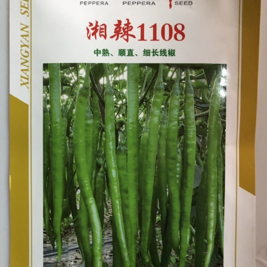 平远县湘研种业湘辣1108中早熟高品质长线椒种子30-35厘米顺直