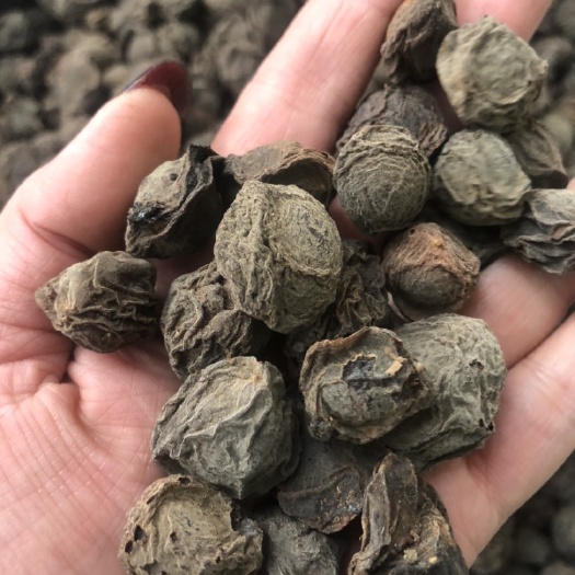乌梅  中药材   黑梅  薫梅