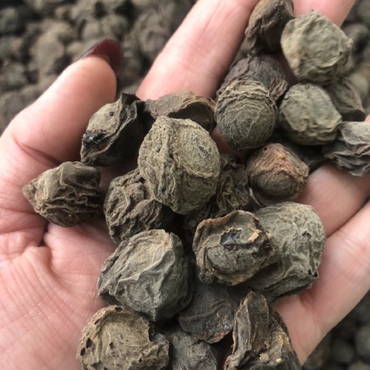 玉林乌梅  中药材   黑梅  薫梅