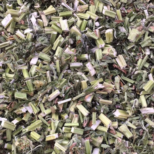 亳州 益母草