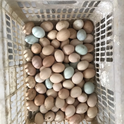 鹰潭 土鸡蛋，乌鸡蛋，零售批发都可，需要联系