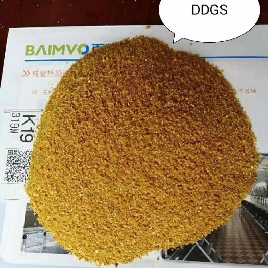 石家庄酒糟  DDGS