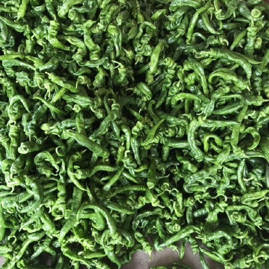 灵山县 线椒，螺丝椒