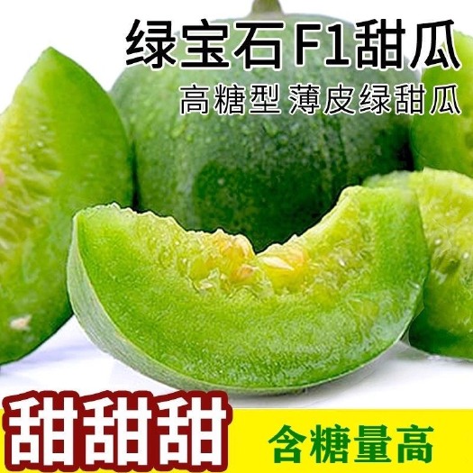 邵东市绿宝石甜瓜种子 薄皮超甜 香瓜种子春季四季脆瓜早熟