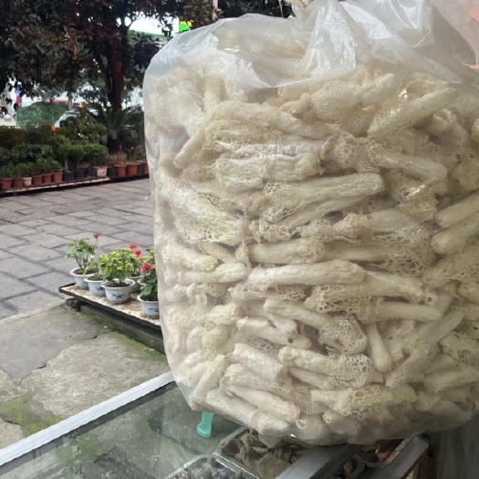 织金县织金竹荪  竹荪、品质保证、味道纯正。