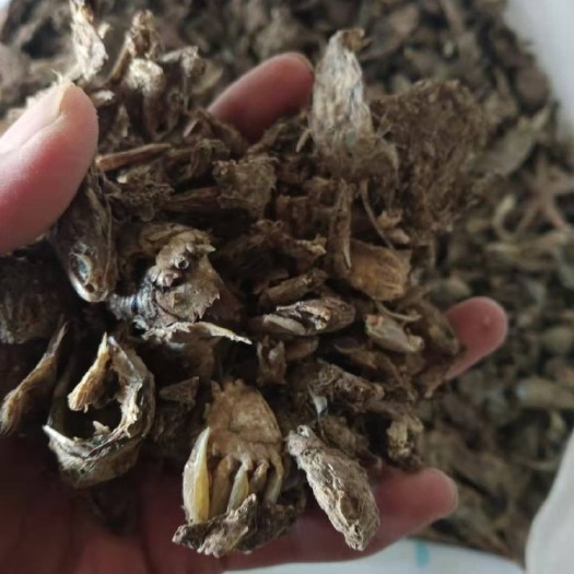 天津蛋白质补充饲料  鱼干小杂鱼批发商