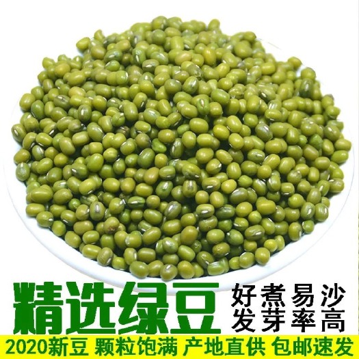 黄绿豆  东北绿豆1斤2斤5斤发芽明绿豆农家自种绿豆优惠杂粮批发非转基