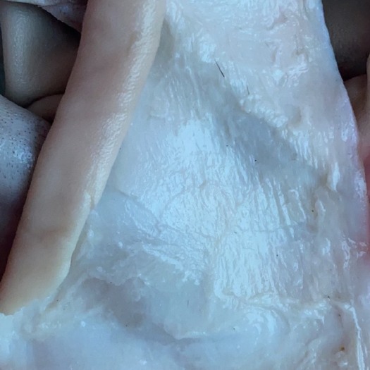 新鲜现宰马皮去油生马皮