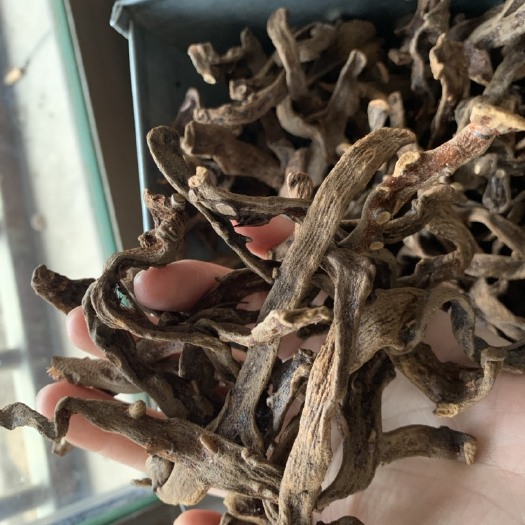 安国市中药材贵州骨碎补别名（申江）化验合格，质量有保障！