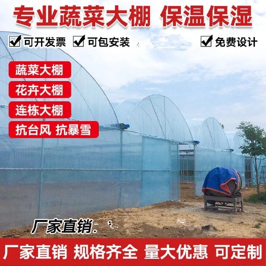 沭阳县大棚  连体棚