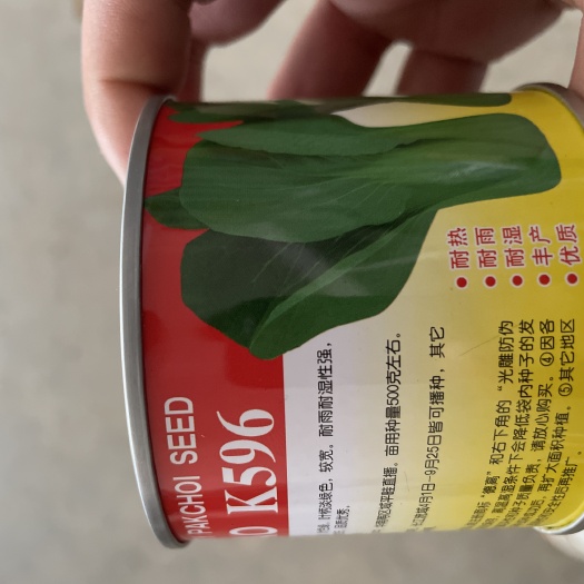 曹县上海青种子  德高K596