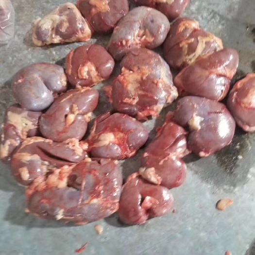 临沂驴腰子生腰子肾新鲜