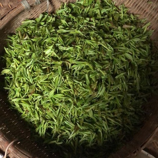 安陆市毛尖茶 家里自己炒的清明茶，需要可以联系我，量大从优
