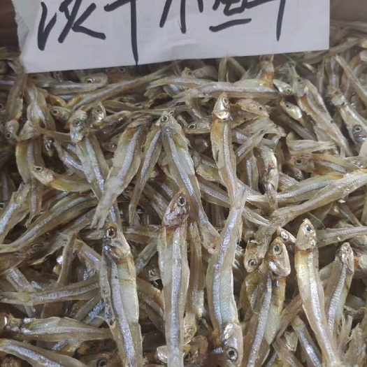 广州海南公鱼干，自建晒场，自建冷库！保证品质！好吃美味
