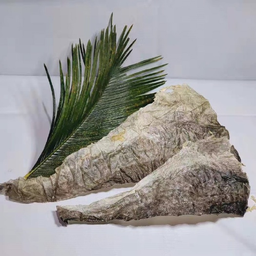 【深海鱼皮】口感鲜美，凉拌，清炒，油炸好吃的不得了