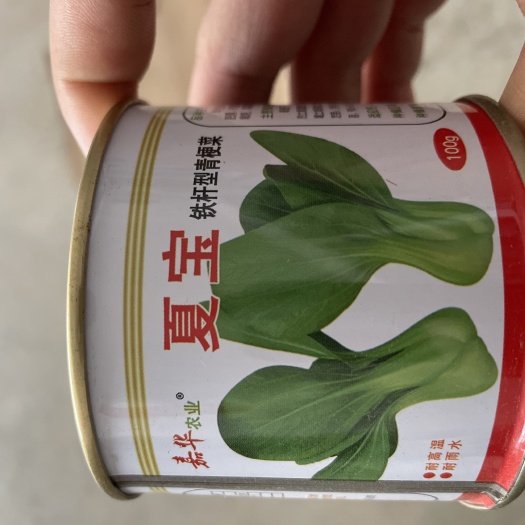 曹县上海青种子 夏宝。产品耐热，耐雨，生长快，产量高