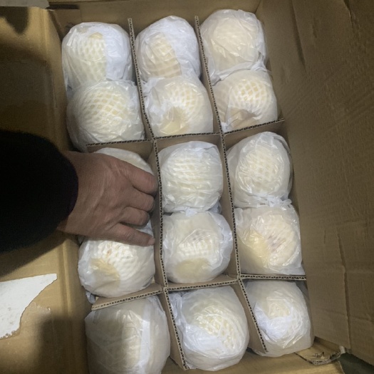 赵县河北优质雪花梨自产自销量大从优一手货源发货全国