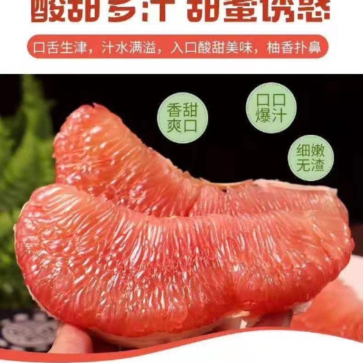 福建平和琯溪蜜柚，红心柚，三红柚，产地直销，电商一件代发
