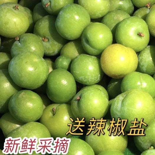 信宜市三月青李正宗钱排三华李红心李孕妇李爽脆高山乡村李
