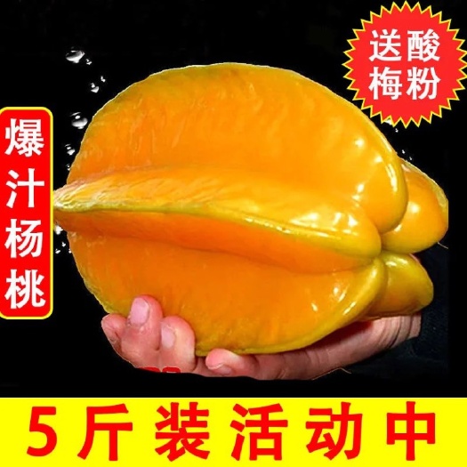 【香蜜杨桃 】老树爆汁新鲜甜杨桃水果应季桃红杨桃洋五