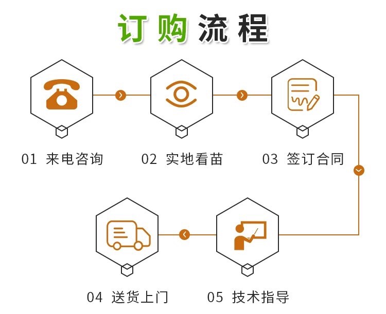 湖南太湖猪苗价格全国免费送货欢迎新老客户前来考察选购