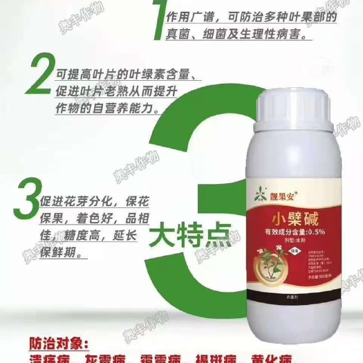 潍坊奥丰中草药小檗碱靓果安叶果部病害炭疽白粉角斑病